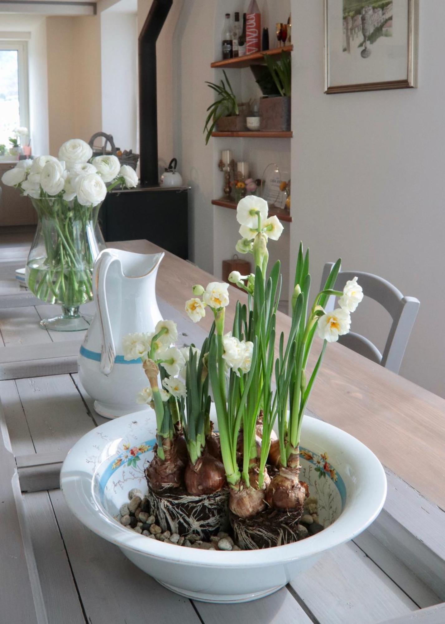 Casa Viola Bed And Breakfast Dimora Di Campagna Calice Ligure Eksteriør bilde